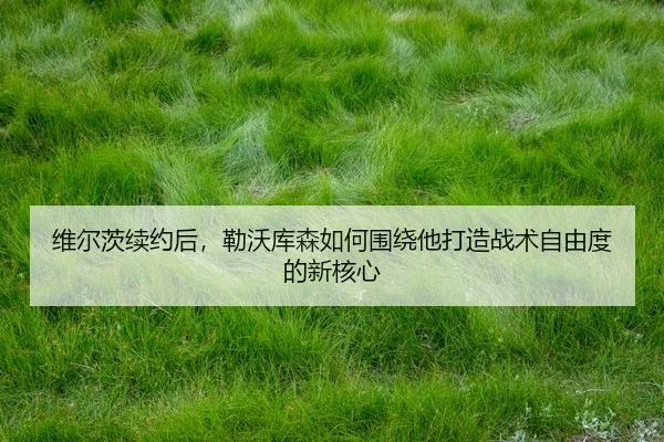 wei-er-ci-xu-yue-hou-lei-wo-ku-sen-ru-he-wei-rao-ta-da-zao-zhan-shu-zi-you-du-de-xin-he-xin-3-201.jpg
