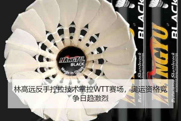 lin-gao-yuan-fan-shou-ning-la-ji-shu-zhang-kong-sai-chang-ao-yun-zi-ge-jing-zheng-ri-qu-ji-lie-2-306.jpg