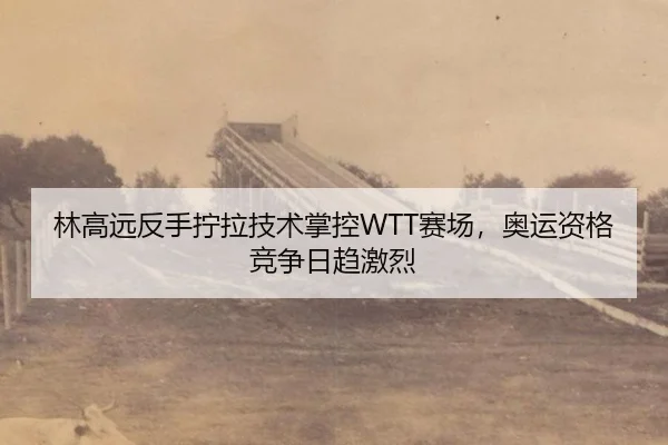 林高远反手拧拉技术掌控WTT赛场，奥运资格竞争日趋激烈