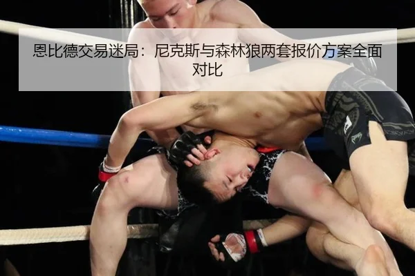 en-bi-de-jiao-yi-mi-ju-ni-ke-si-yu-sen-lin-lang-liang-tao-bao-jia-fang-an-quan-mian-dui-bi-3-600.jpg