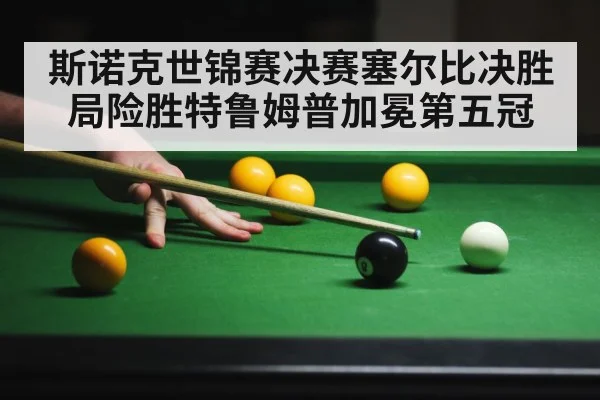 斯诺克世锦赛决赛塞尔比决胜局险胜特鲁姆普加冕第五冠